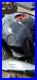BMW R nine T Fuel Tank