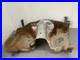 Discovery Sport L550 Fuel Tank Shield Guard With Straps 2.0 TD4 Diesel Ref VX17