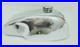 Fit For Norton Slimline Manx Short Circuit 3 Gallon Aluminium Fuel Tank