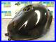 Kawasaki ZX 9 R Fuel Tank Petrol ZX9R 2000 2001 Ninja ZX900E E1 E2 A957